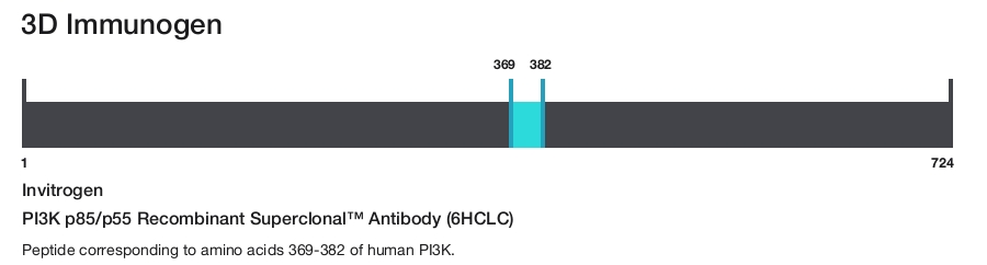 PI3K p85/p55 Recombinant Superclonal&trade; Antibody (6HCLC)