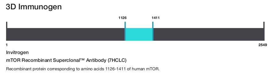 mTOR Recombinant Superclonal&trade; Antibody (7HCLC)