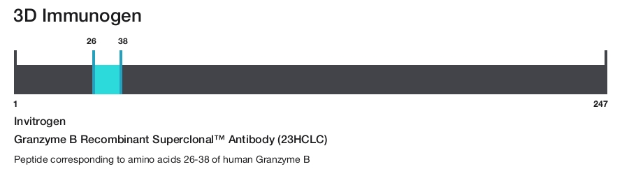 Granzyme B Recombinant Superclonal&trade; Antibody (23HCLC)