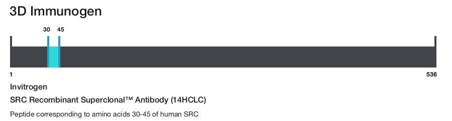 SRC Recombinant Superclonal&trade; Antibody (14HCLC)