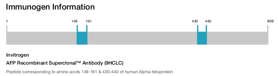 AFP Recombinant Superclonal&trade; Antibody (9HCLC)