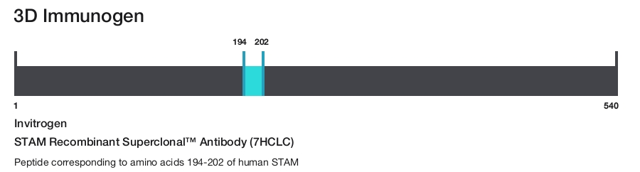 STAM Recombinant Superclonal&trade; Antibody (7HCLC)