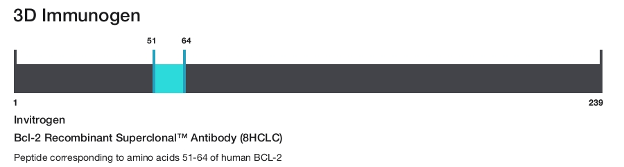 Bcl-2 Recombinant Superclonal&trade; Antibody (8HCLC)