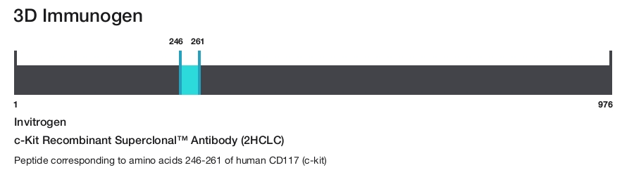 c-Kit Recombinant Superclonal&trade; Antibody (2HCLC)