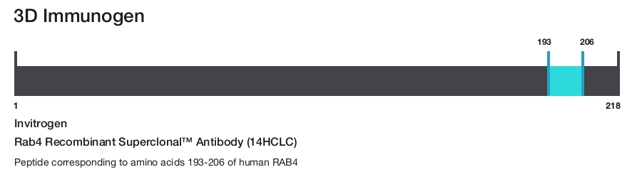 Rab4 Recombinant Superclonal&trade; Antibody (14HCLC)