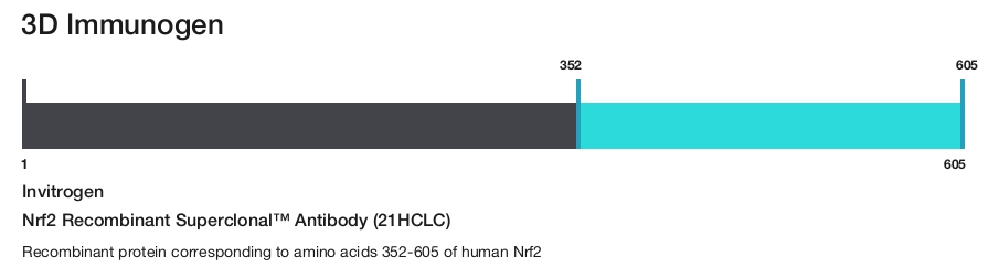 Nrf2 Recombinant Superclonal&trade; Antibody (21HCLC)