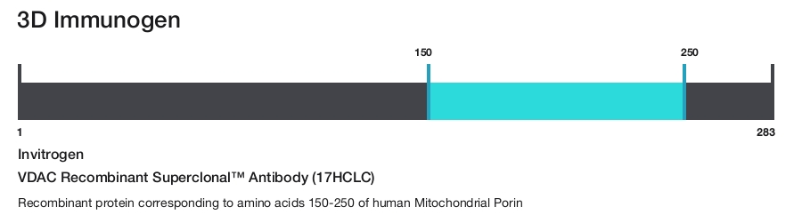 VDAC Recombinant Superclonal&trade; Antibody (17HCLC)