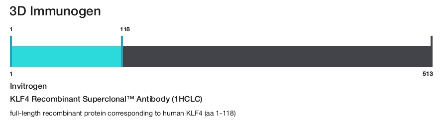 KLF4 Recombinant Superclonal&trade; Antibody (1HCLC)