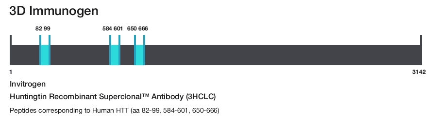 Huntingtin Recombinant Superclonal&trade; Antibody (3HCLC)