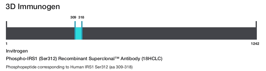 Phospho-IRS1 (Ser312) Recombinant Superclonal&trade; Antibody (18HCLC)