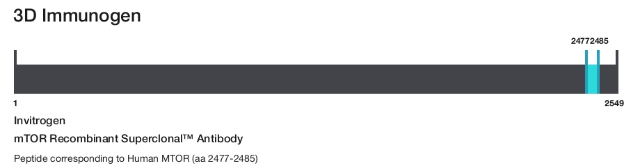 mTOR Recombinant Superclonal&trade; Antibody