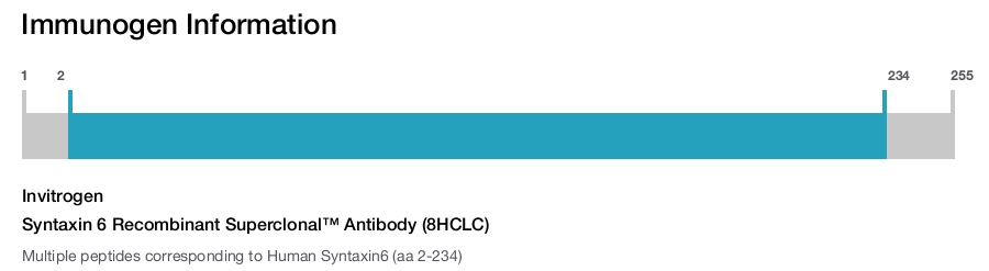 Syntaxin 6 Recombinant Superclonal&trade; Antibody (8HCLC)