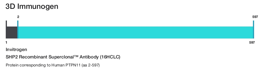 SHP2 Recombinant Superclonal&trade; Antibody (16HCLC)