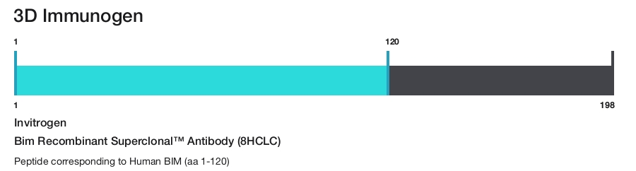 Bim Recombinant Superclonal&trade; Antibody (8HCLC)