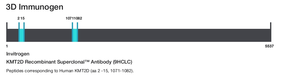 KMT2D Recombinant Superclonal&trade; Antibody (9HCLC)