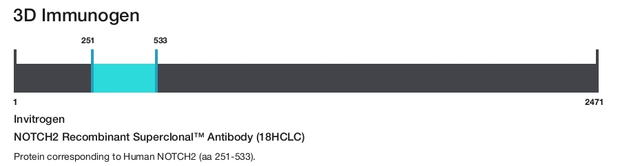 NOTCH2 Recombinant Superclonal&trade; Antibody (18HCLC)