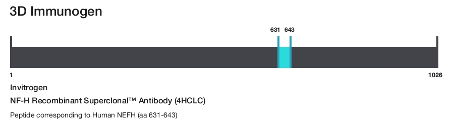 NF-H Recombinant Superclonal&trade; Antibody (4HCLC)