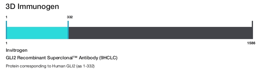 GLI2 Recombinant Superclonal&trade; Antibody (9HCLC)
