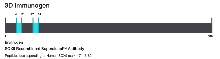 SOX9 Recombinant Superclonal&trade; Antibody