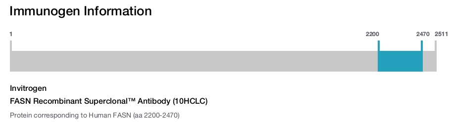 FASN Recombinant Superclonal&trade; Antibody (10HCLC)