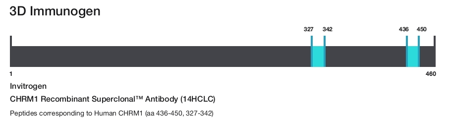 CHRM1 Recombinant Superclonal&trade; Antibody (14HCLC)