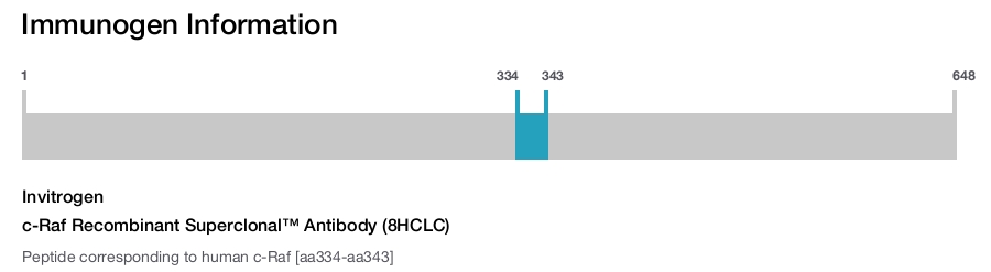c-Raf Recombinant Superclonal&trade; Antibody (8HCLC)