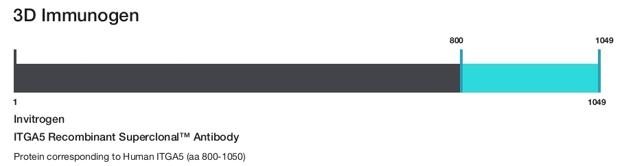 ITGA5 Recombinant Superclonal&trade; Antibody