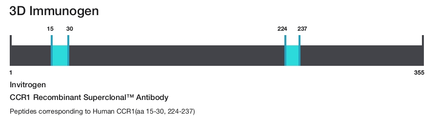 CCR1 Recombinant Superclonal&trade; Antibody