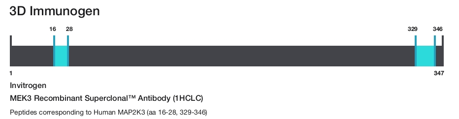 MEK3 Recombinant Superclonal&trade; Antibody (1HCLC)