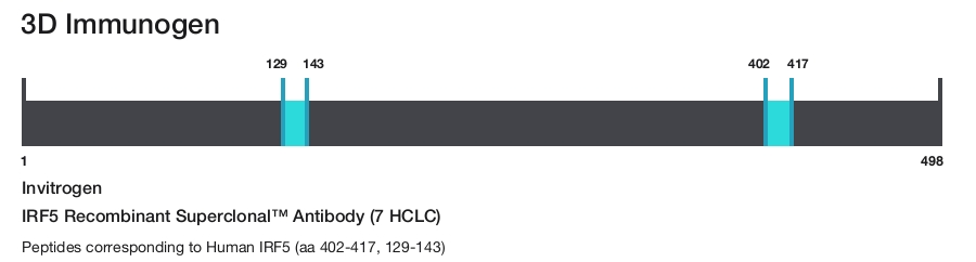 IRF5 Recombinant Superclonal&trade; Antibody (7 HCLC)