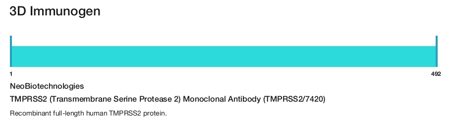 TMPRSS2 (Transmembrane Serine Protease 2) Monoclonal Antibody (TMPRSS2/7420)