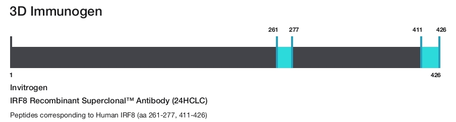 IRF8 Recombinant Superclonal&trade; Antibody (24HCLC)