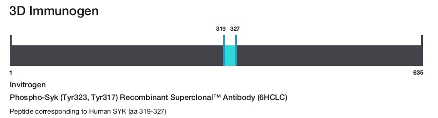 Phospho-Syk (Tyr323, Tyr317) Recombinant Superclonal&trade; Antibody (6HCLC)
