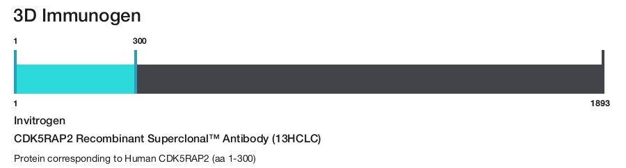 CDK5RAP2 Recombinant Superclonal&trade; Antibody (13HCLC)
