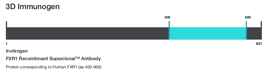 FXR1 Recombinant Superclonal&trade; Antibody