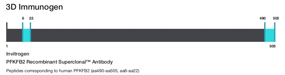 PFKFB2 Recombinant Superclonal&trade; Antibody