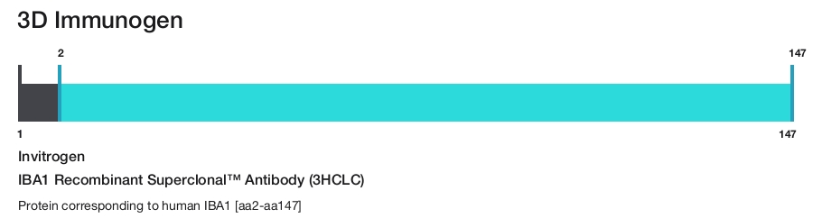 IBA1 Recombinant Superclonal&trade; Antibody (3HCLC)