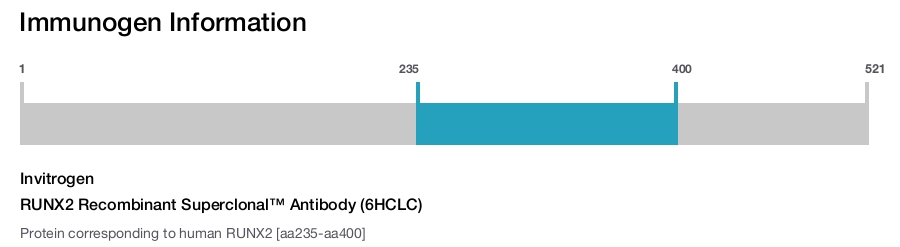 RUNX2 Recombinant Superclonal™ Antibody (6HCLC)