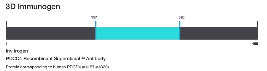 PDCD4 Recombinant Superclonal&trade; Antibody