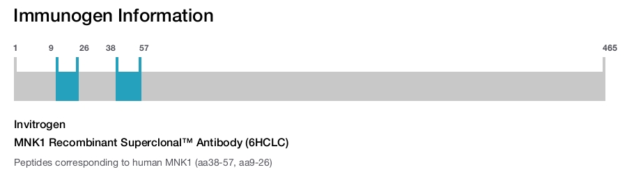 MNK1 Recombinant Superclonal™ Antibody (6HCLC)