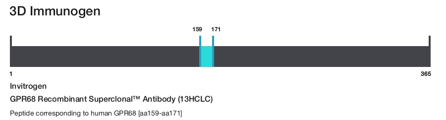 GPR68 Recombinant Superclonal&trade; Antibody (13HCLC)
