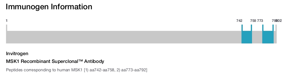 MSK1 Recombinant Superclonal&trade; Antibody