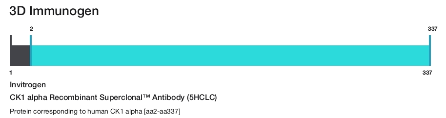 CK1 alpha Recombinant Superclonal&trade; Antibody (5HCLC)