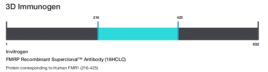 FMRP Recombinant Superclonal&trade; Antibody (16HCLC)