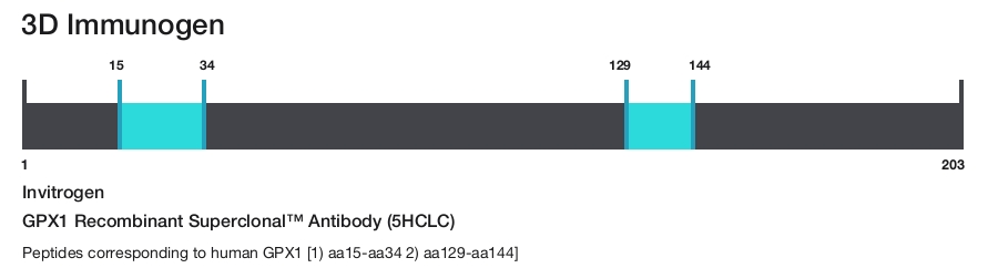 GPX1 Recombinant Superclonal&trade; Antibody (5HCLC)