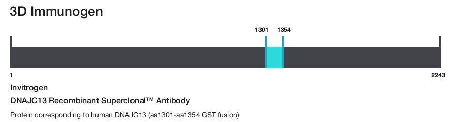 DNAJC13 Recombinant Superclonal&trade; Antibody