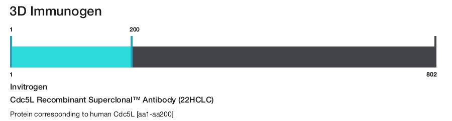 Cdc5L Recombinant Superclonal&trade; Antibody (22HCLC)