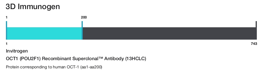 OCT1 (POU2F1) Recombinant Superclonal&trade; Antibody (13HCLC)