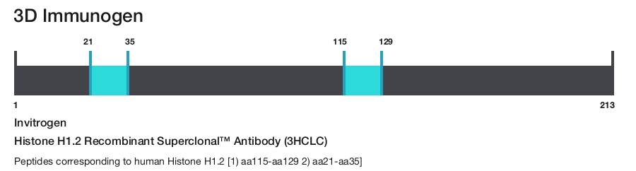 Histone H1.2 Recombinant Superclonal&trade; Antibody (3HCLC)