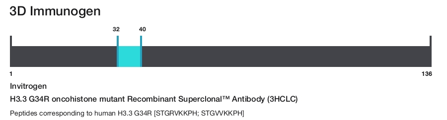 H3.3 G34R oncohistone mutant Recombinant Superclonal&trade; Antibody (3HCLC)